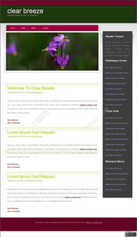 國(guó)外產(chǎn)品介紹網(wǎng)頁(yè)設(shè)計(jì)模板 免費(fèi)下載PSD格式（編號(hào)14759204，千圖網(wǎng)）